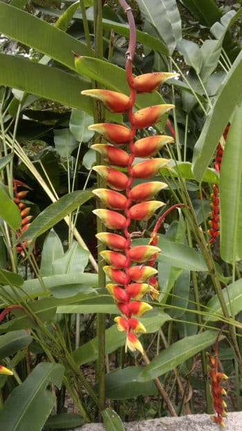 budget hotel hostel sandakan 250520141030