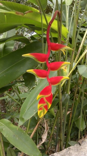 budget hotel hostel sandakan 250520141031