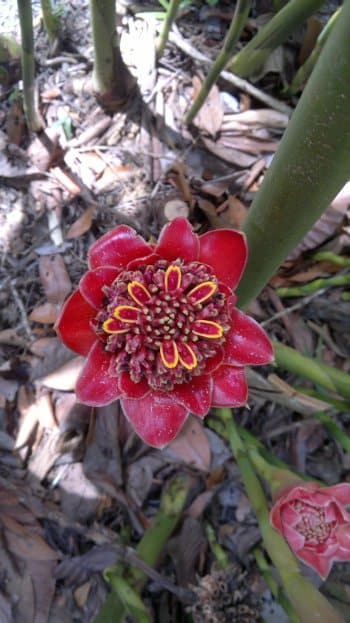 budget hotel hostel sandakan 250520141032