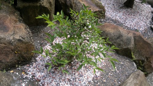 budget hotel hostel sandakan 250520141047