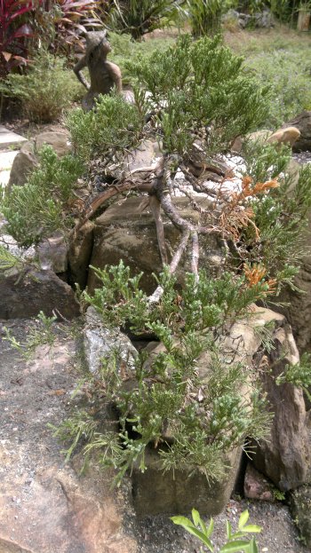 budget hotel hostel sandakan 250520141048