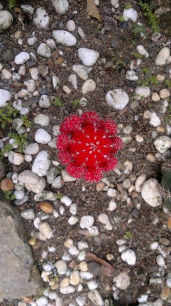 budget hotel hostel sandakan 250520141052