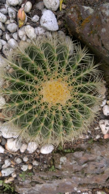 budget hotel hostel sandakan 250520141053