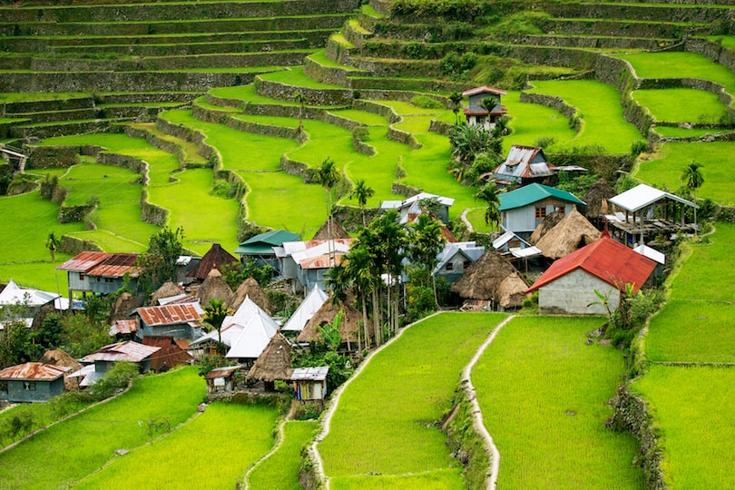 Rice terraces in the Philippines. The village is in a valley among the rice terraces. Rice cultivation in the North of the Philippines, Batad, Banaue. Rice terraces in the Philippines. The village is in a valley among the rice terraces. Rice cultivation in the North of the Philippines, Batad, Banaue.
