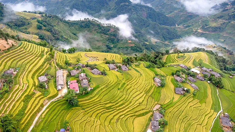 Banaue Rice Terraces news
