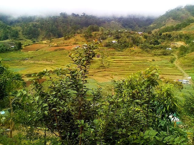 Kabayan Rice Terraces