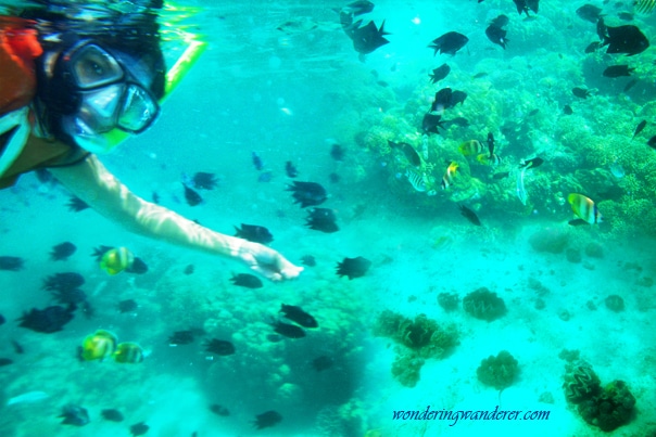 Puerto Galera Diving Philippines mindoro snorkeling