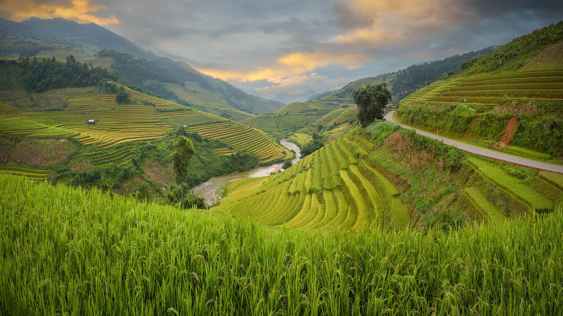 banaue rice terrace view