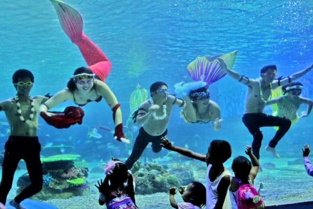 manila ocean park dive