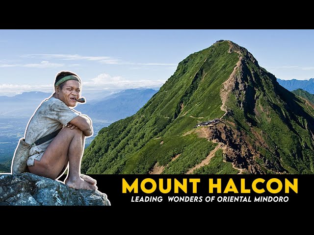 mount halcon mindoro video mount halcon mindoro video