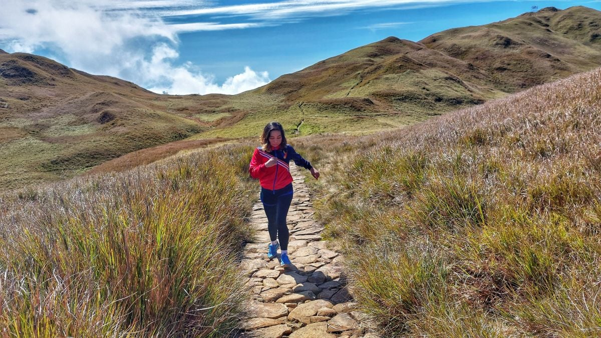 mount pulag luzon