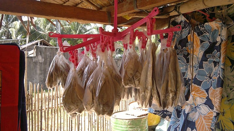 island-hopping-in-the-philippines-boat-launch-160120152194