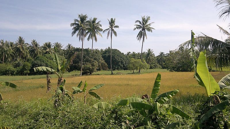 island-hopping-in-the-philippines-boat-launch-160120152196