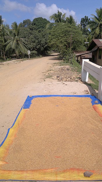 island-hopping-in-the-philippines-boat-launch-160120152199