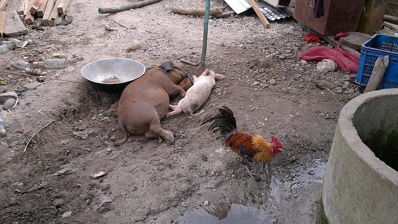 island-hopping-in-the-philippines-island-1-140220152363