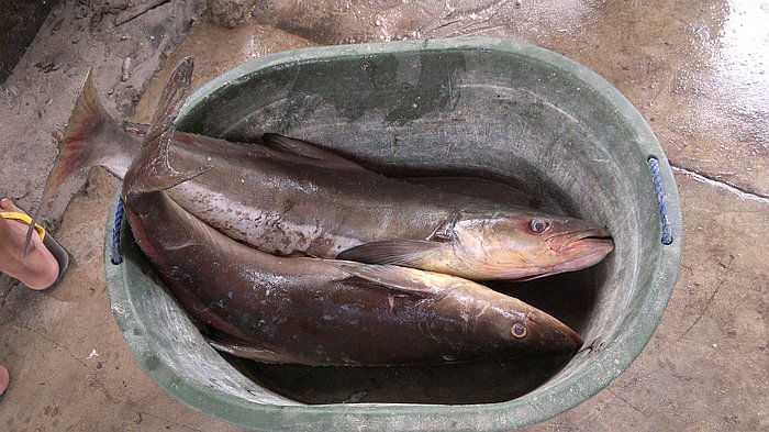 island-hopping-in-the-philippines-island-1-140220152367