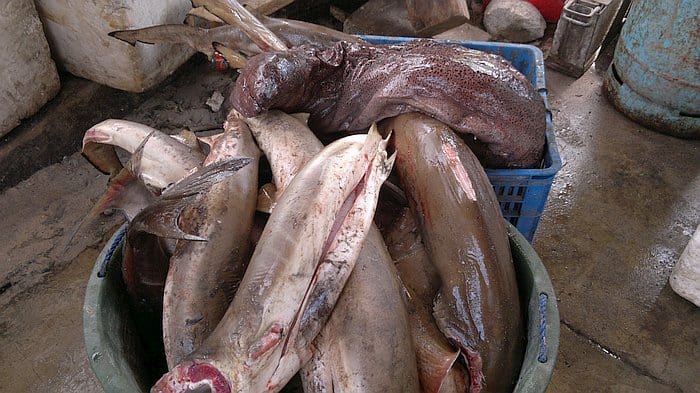 island-hopping-in-the-philippines-island-1-140220152368