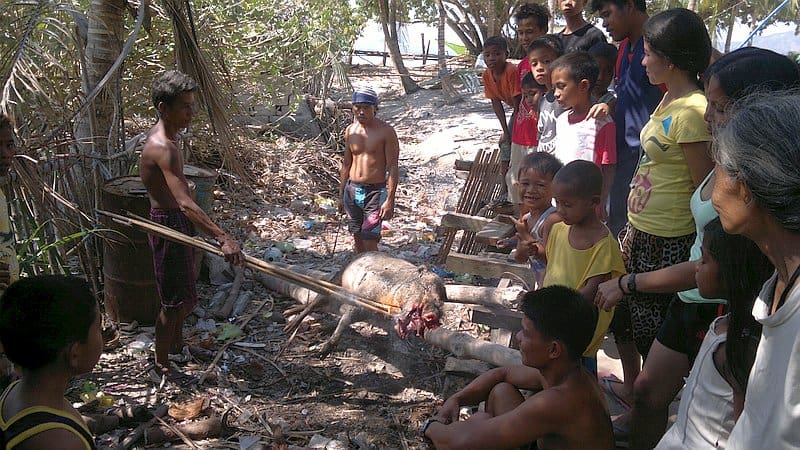 island-hopping-in-the-philippines-island-1-140220152370