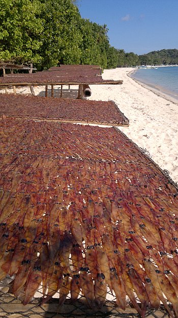 island-hopping-in-the-philippines-island-1-140220152398