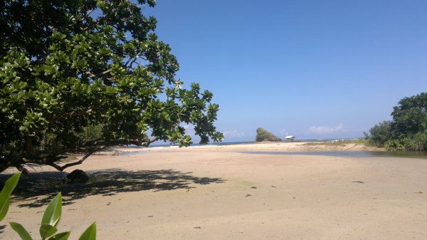 puerto-princesa-mangrove-070220152333