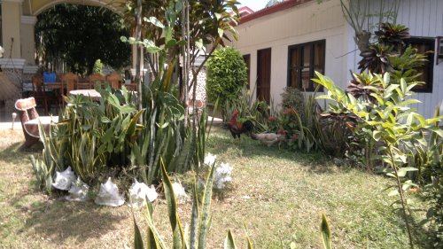 puerto-princesa-pickup-040220152272