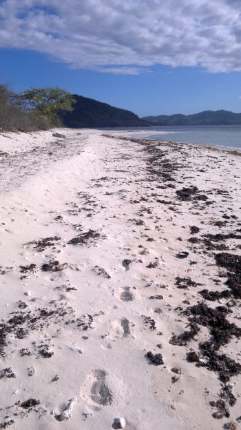 island-hopping-philippines-some-island-240320152616