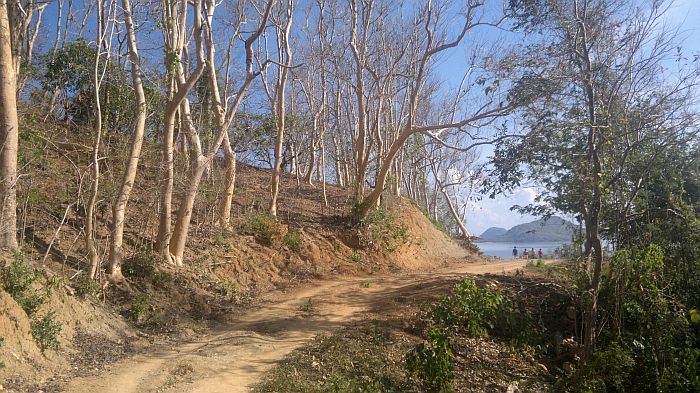 island-hopping-philippines-stroll-050420152701