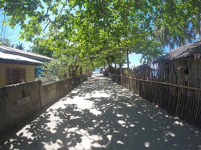 A sunlit sandy pathway is shaded by lush green trees, leading to rustic buildings with a glimpse of blue sky and ocean beyond. This serene scene invites you to imagine an island hopping adventure, perhaps starting with a boat tour around the captivating shores of Barangonan.