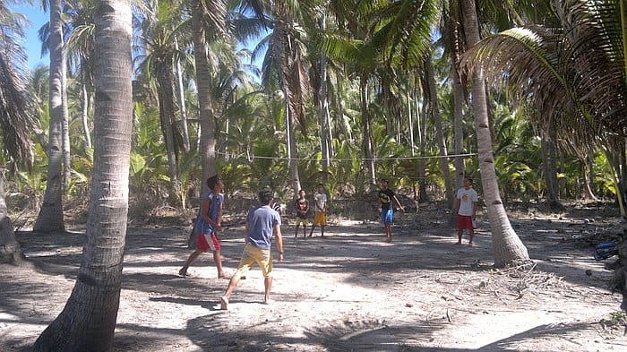 People playing volleyball on a sandy court surrounded by tall palm trees, reminiscent of the lively beach scenes you'd find while island hopping in Palawan.