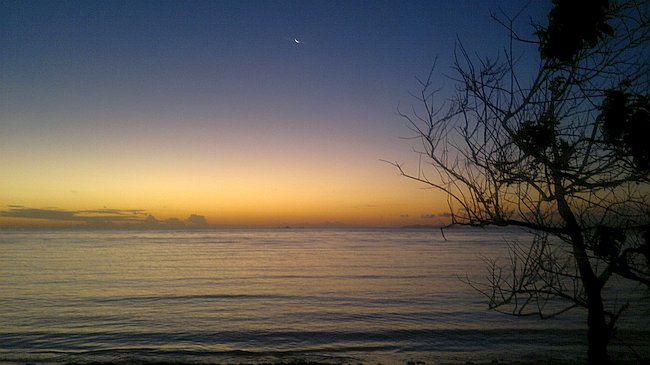 Tranquil sunset over a calm ocean in Palawan, with a silhouetted tree on the right and a crescent moon in the dimly lit sky, perfect for island hopping adventures or a serene boat tour.