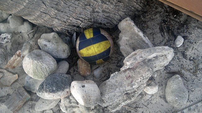 A blue and yellow volleyball nestled among large stones under a tree trunk evokes the serene charm of island hopping in Palawan, where every boat tour reveals hidden treasures waiting to be discovered.