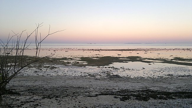 At low tide, the calm beach during sunset reveals reflected pink and orange hues in the sky and water, perfect for a tranquil evening. Sparse branches are visible on the left, hinting at nearby islands—a serene start or end to an island hopping adventure in Palawan.