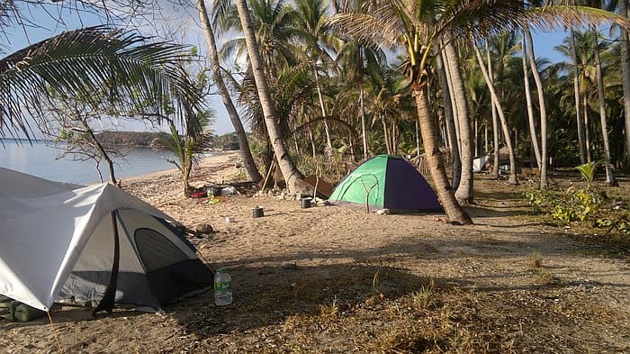 Tents set up on a sandy beach in Palawan are surrounded by palm trees, with a view of the ocean in the background. Camping gear is scattered around, and the sun creates dappled light on the ground—a perfect spot to unwind after a day of island hopping.