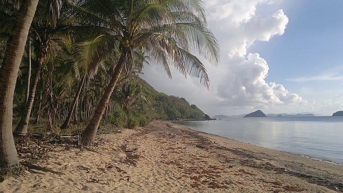 A tranquil beach in Palawan with palm trees lining the sandy shore, calm sea, and a few islands perfect for island hopping visible on the horizon under a partly cloudy sky.