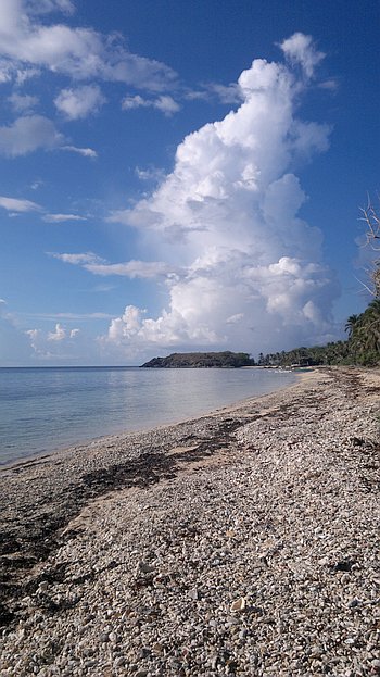 Rocky beach with calm waves lapping the shore, lush greenery, and white clouds towering in a blue sky, perfect for island hopping around the stunning landscapes of Palawan.