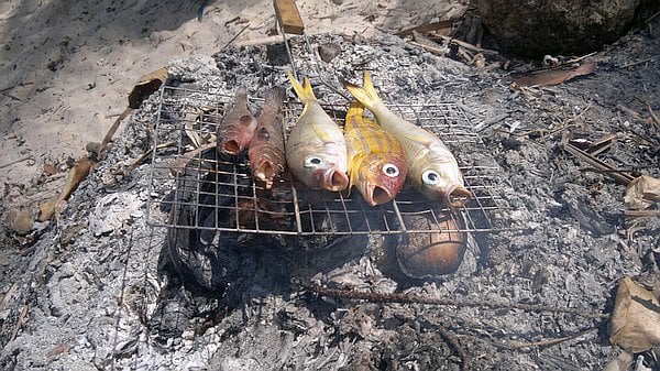 Four fish roasting on a grill over an open fire, with ashes and a sandy background, evoke the timeless charm of island hopping. Imagine savoring this freshly grilled delight during a tranquil Palawan boat tour, surrounded by breathtaking vistas and the gentle whisper of the sea.