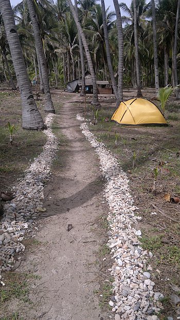A narrow path lined with white stones winds through a coconut grove, leading to a yellow tent set up among the trees, perfect for a camping adventure in Palawan. In the background, there is a small structure resembling a hut.