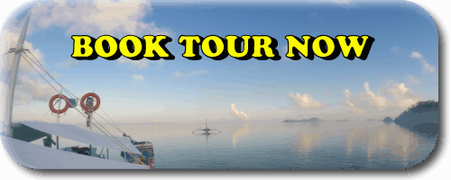 Panoramic view of a calm sea with a boat ready for island hopping under a clear sky and fluffy clouds. Text reads "BOOK TOUR NOW" in bold yellow letters.