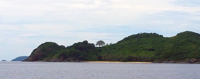 A small, lush green island with a sandy beach under a cloudy sky invites you to embark on an enchanting boat tour through calm ocean waters.