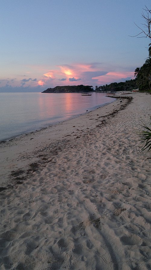A tranquil beach at sunset features a sandy shore, calm waves, and a distant rocky outcrop. The pink and purple sky creates a picturesque view perfect for an evening boat tour.