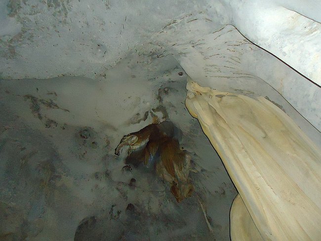 island-hopping-boat-tours-philippines-palawan-thomas-DSC02696