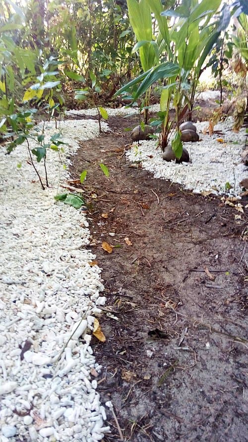 A dirt path winds through a garden bordered by white gravel, reminiscent of trails found on camping adventures. Lush green plants and trees surround the path, creating a natural and serene atmosphere as sunlight filters through the foliage above.