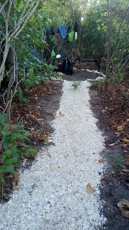 A narrow path made of white stones winds through dense greenery, perfect for a tranquil camping retreat. In the background, clothes hang on a line among the trees. Brown leaves are scattered along the trail, and tall plants surround the scene, creating a secluded outdoor setting.