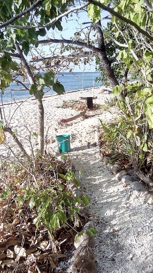 A sandy path lined with leaves and bushes leads to a small beach area, perfect for island hopping. A green bucket and a wooden stool are placed near the shoreline, with a few scattered items. The ocean is visible in the background under a clear sky.