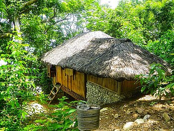 A rustic thatched-roof hut in Palawan is surrounded by lush green foliage. Elevated on stilts, it features a small ladder to its entrance. Near the entrance, a round metal container sits amidst the earthy landscape, evoking visions of nearby boat tours and adventure beyond.