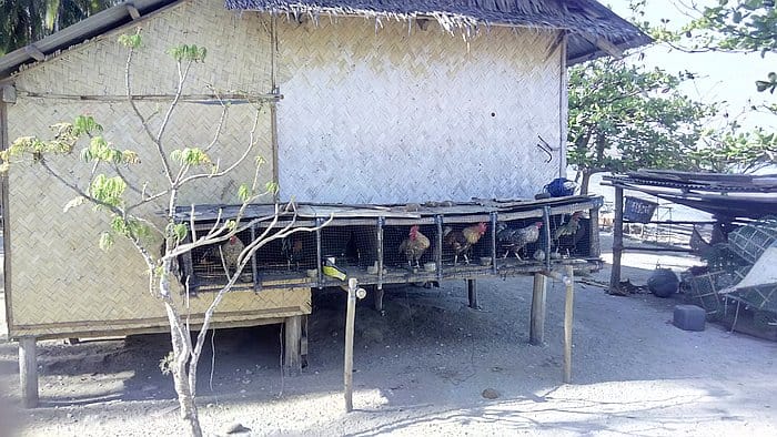 basketball-IMG_20160314_082451_1