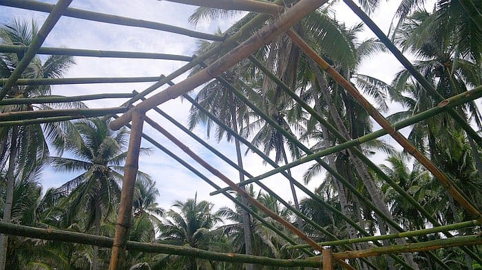 Bamboo structures forming a roof frame under a blue sky, surrounded by tall palm trees, evoke the tranquil vibe of a serene boat tour in an island paradise.