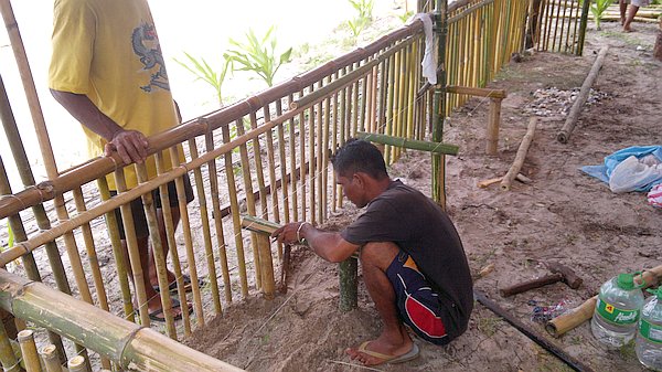 Two men construct a bamboo fence on sandy ground, possibly near the shore, with one kneeling and working intently. Surrounding them are various tools and materials, hinting at their dedication to protect what might be a starting point for nearby boat tours.
