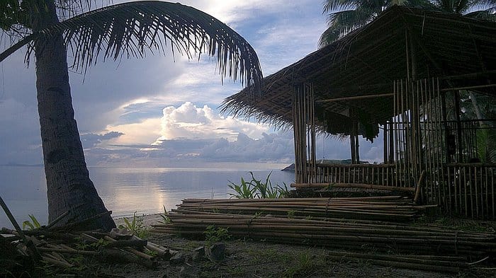 A bamboo hut by a calm beach, surrounded by palm trees under a cloudy sky, offers the perfect spot to relax before embarking on a tranquil boat tour.
