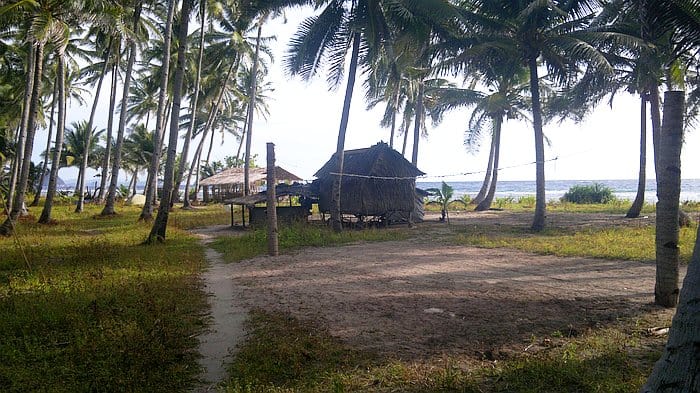 A beach scene with huts surrounded by tall palm trees overlooks the ocean, where a boat tour offers an enchanting exploration of the coastline.